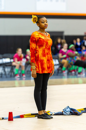 2015 Crete-Monee Winter Guard
