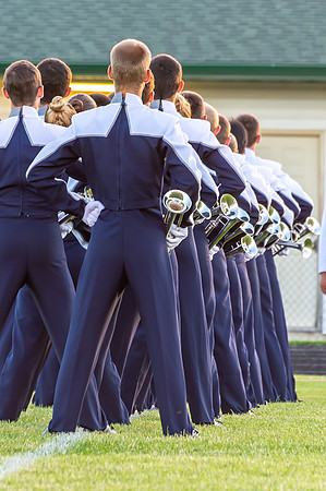2014 Blue Stars