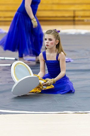 2015 Allegiance Cadets Winter Guard
