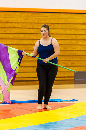 2015 Armada Cadets Winter Guard