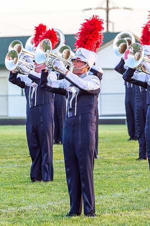 2014 Blue Stars