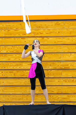 2014 Steperette Cadets Winter Guard