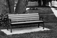 quiet park bench