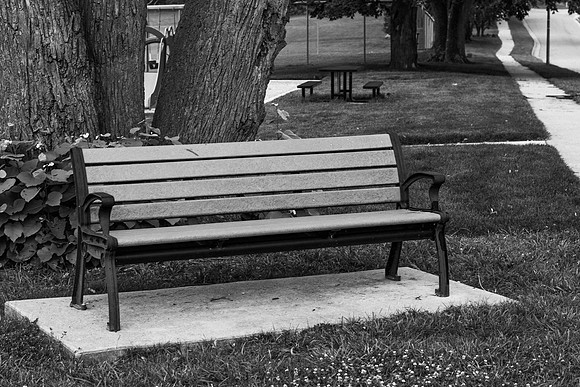 quiet park bench