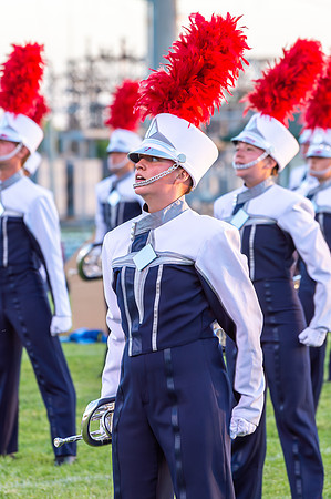 2014 Blue Stars
