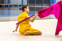 2014 New Day Winter Guard