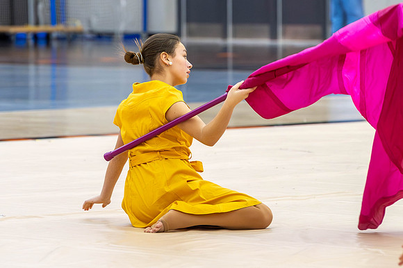 2014 New Day Winter Guard