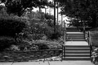 secluded garden path