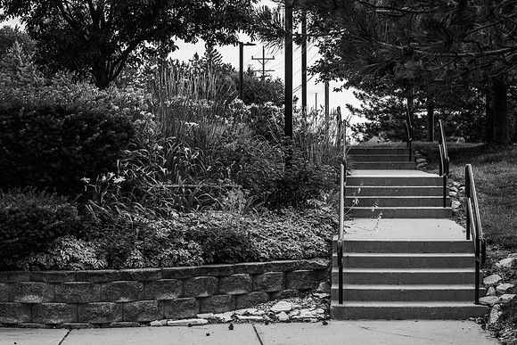 secluded garden path