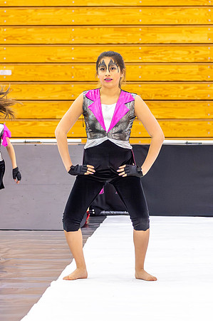 2014 Steperette Cadets Winter Guard