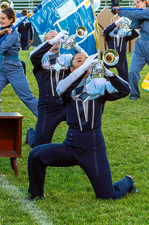 2014 Blue Stars