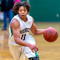 2015 Greendale Boys JV Basketball