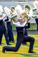 2013 Blue Stars