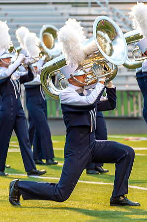 2013 Blue Stars