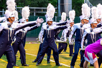 2013 Blue Stars