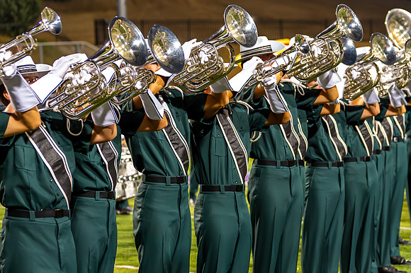 2012 Madison Scouts