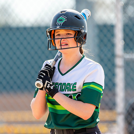 2017 Greendale Varsity Softball