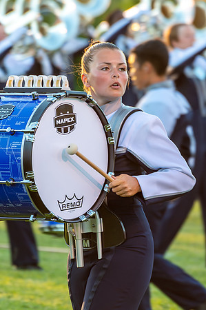 2014 Blue Stars